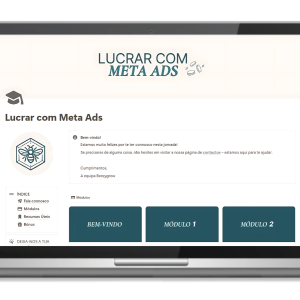 Lucrar com Meta ads