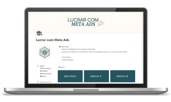 Lucrar com Meta ads
